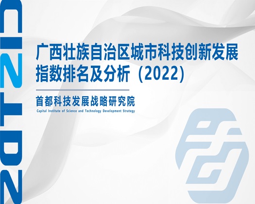 插老熟女骚逼【成果发布】广西壮族自治区城市科技创新发展指数排名及分析（2022）